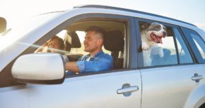 Middletown Car Accident Lawyers at Mikita & Roccanova Help Clients Injured by Negligent Drivers on Road Trips.